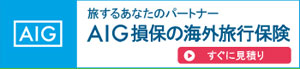AIG損保